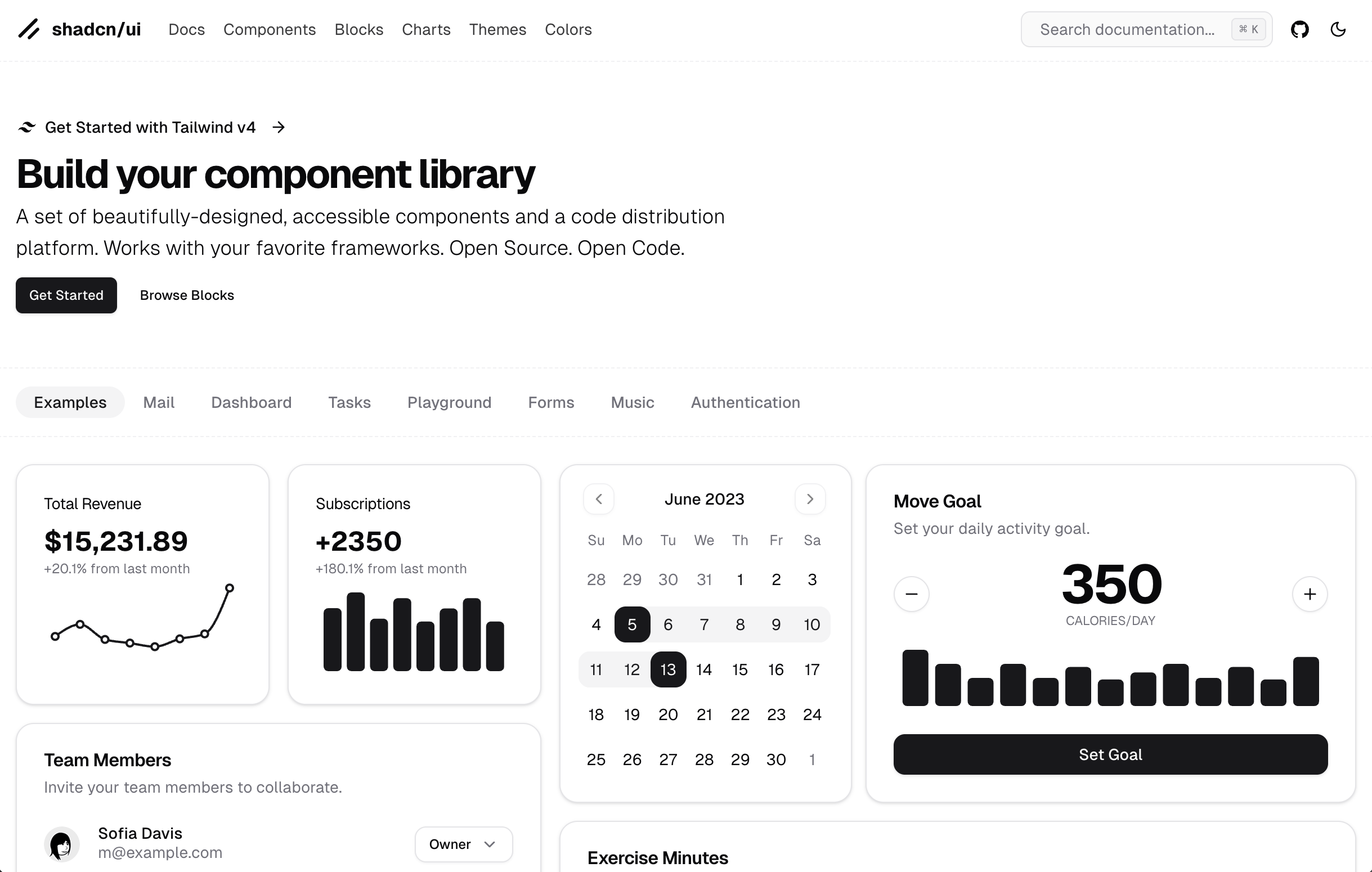 shadcn dashboard example